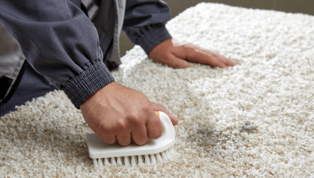 Professional Rug Cleaning Upwey